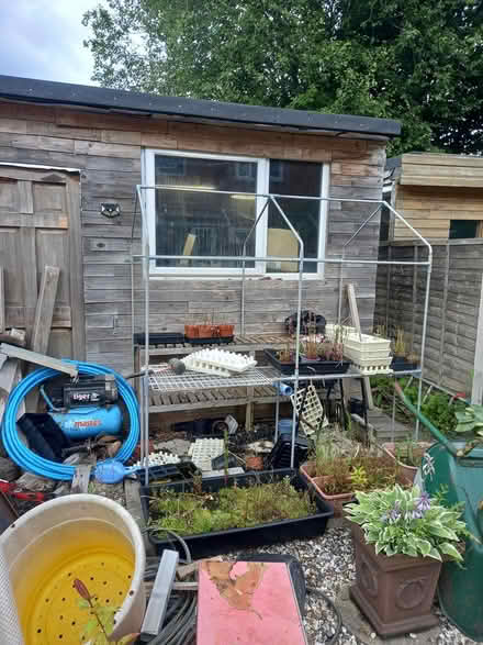Photo of free green house (west heath B38) #1
