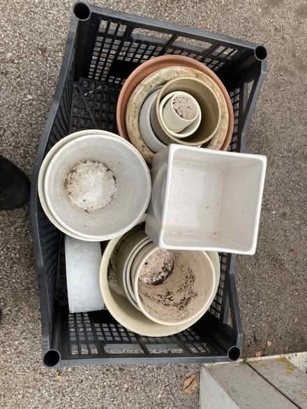 Photo of free Display pots for houseplants etc (Leegomery TF1) #1