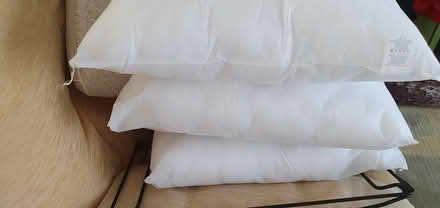 Photo of free cushion inners (Hengistbury Head BH6) #2