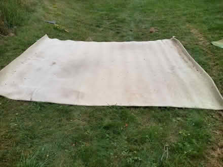 Photo of free Carpet and pad (Brooktondale) #2