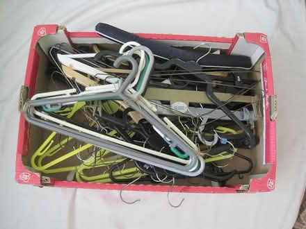 Photo of free Various Hangers (Boreham CM3) #1