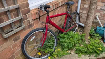 Photo of free Red Adult bicycle (New Bilton CV21) #1