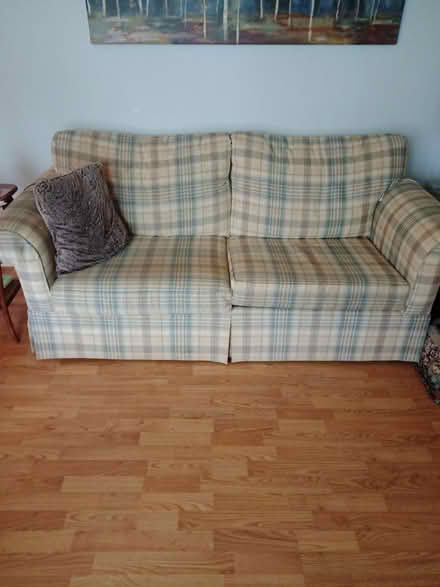 Photo of free Sofa beds (Oxford Mills) #1