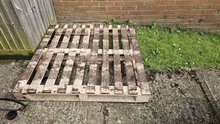 Photo of free Wooden pallet (South Oxfordshire RG9) #2
