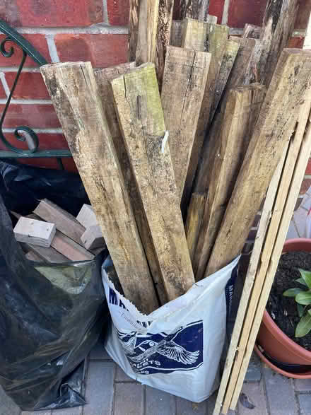 Photo of free Wood for burning (South Harting GU31) #1