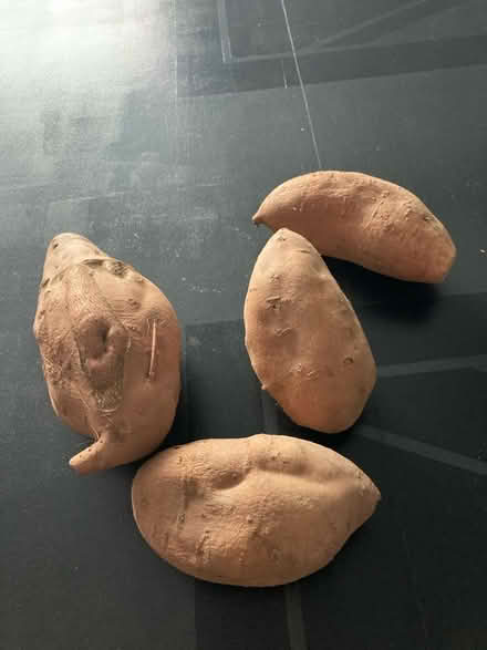 Photo of free 4 large sweet potatoes (Willow Glen) #1