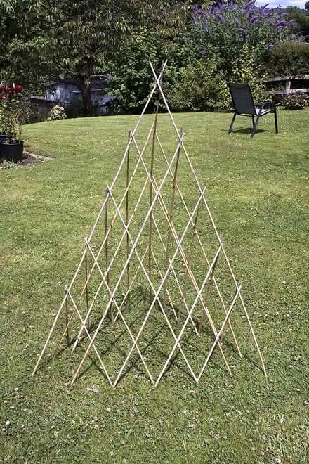 Photo of free Plant Climbing Frame (Browns Hill GL6) #1