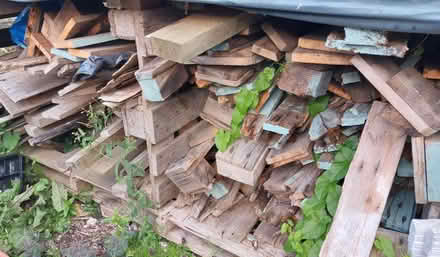 Photo of free Wood (Chilton Polden, TA7) #1