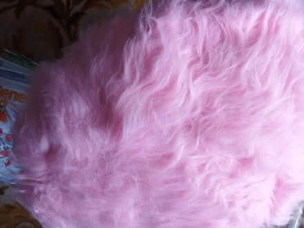 Photo of free Fur fabric (Spotland Bridge OL12) #1