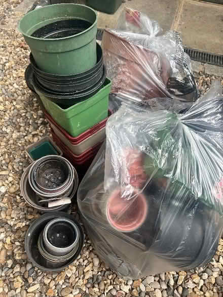 Photo of free Plastic plant pots (3 bin bags full) (Northwood Golf Course HA6) #1