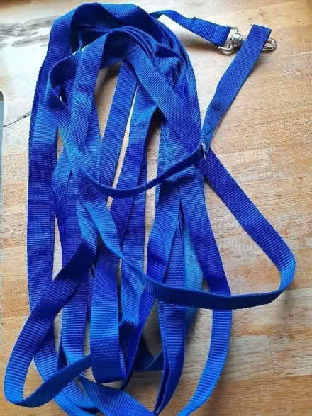 Photo of free 10m dog training lead (Brocton ST17) #1