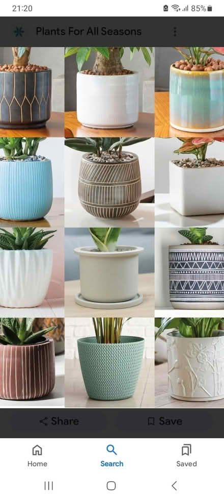 Photo of Indoor plant pots (Chorley PR7) #1