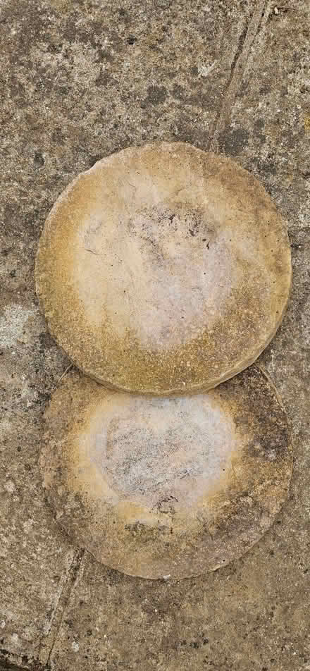 Photo of free Concrete stepping stones (Kennington OX1) #1
