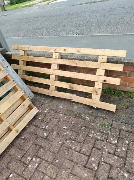Photo of free Pallets (MK42) #3
