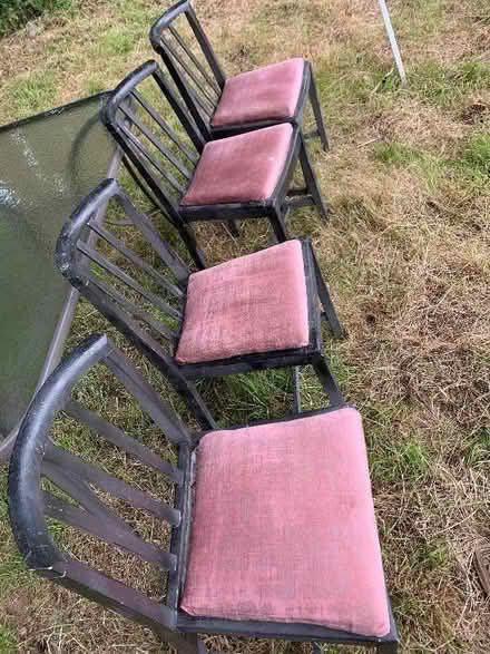 Photo of free 4 dining chairs (Anstey LE7) #1
