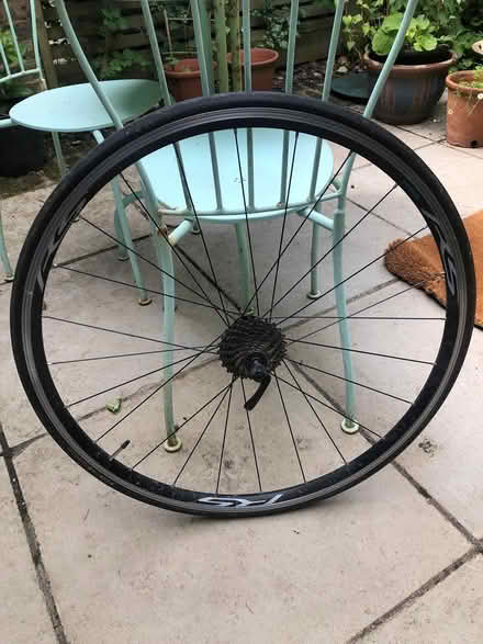Photo of free Rear Bike Wheel (Crystal Palace SE19) #1