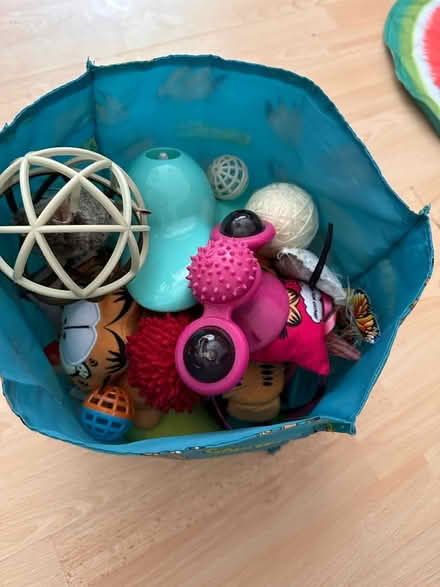 Photo of free Cat toys (RG30, Reading West) #2