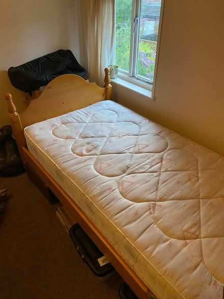 Photo of free Single bed (DE56 Belper) #2