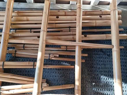 Photo of free scrap bamboo (Bellevue BCC area) #1