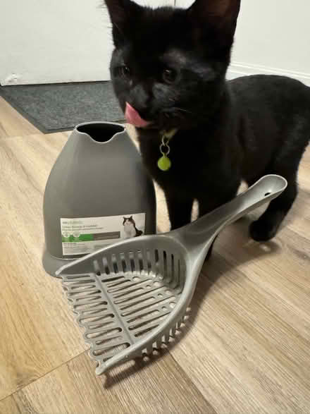 Photo of free cat litter scoop and holder (Rego Park) #2