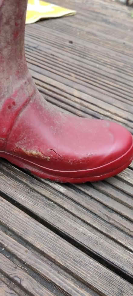 Photo of free Hunter wellies. UK 5. Need fixing (Staple Hill BS16) #3