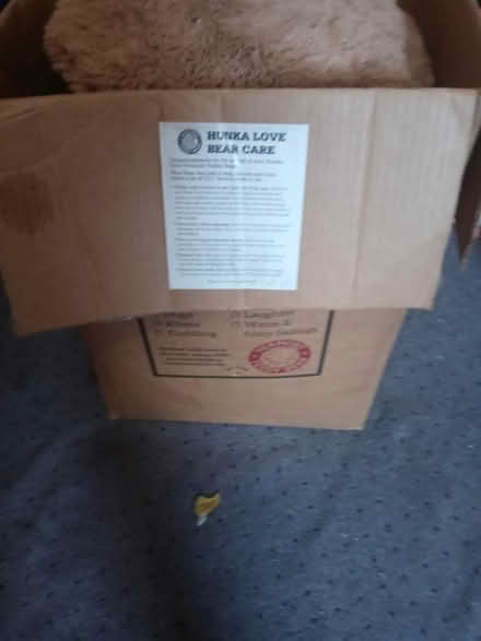 Photo of free Big Hunka Love Bear (Eckington, DC. 20002) #2