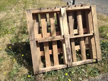 Photo of free wooden pallets (Hazelwood, Portland, OR) #2