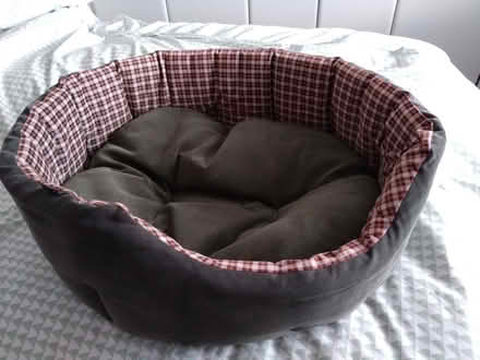 Photo of free Dog bed (Burbage LE10) #1