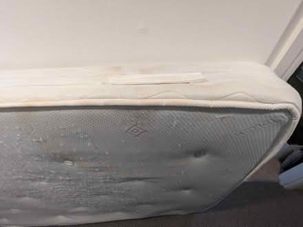 Photo of free Double mattress E11 (Harrow Green E11) #4