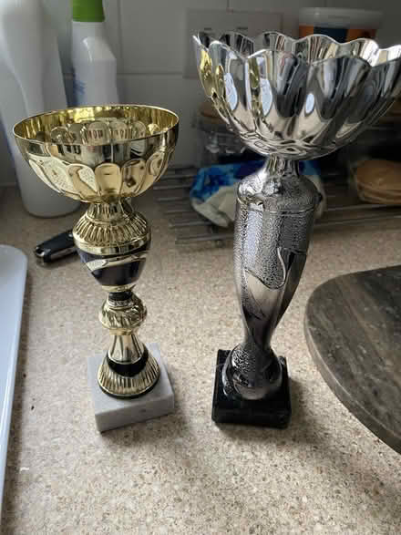 Photo of free 2x trophies (Wokingham RG40) #1