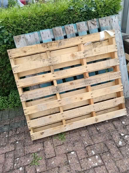 Photo of free Pallets (MK42) #2