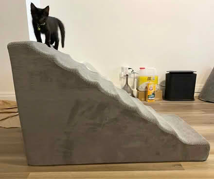 Photo of free pet stairs (Rego Park) #1