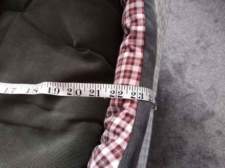 Photo of free Dog bed (Burbage LE10) #4