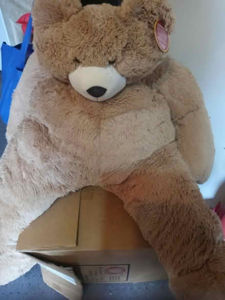 Photo of free Big Hunka Love Bear (Eckington, DC. 20002) #1