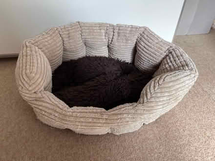 Photo of free Dog or Cat basket and doughnuts (Basingstoke RG22) #2