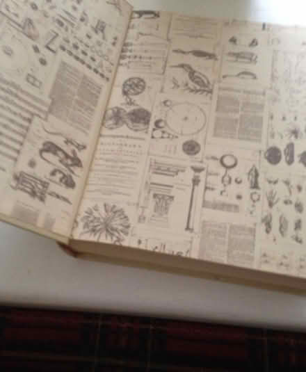 Photo of free Encyclopedia Britannica (24 volumes) (Sidbury EX10) #4