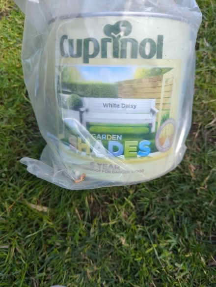Photo of free New white garden outdoor paint (Richmond, TW9) #1