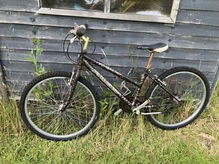 Photo of free Bicycle (Maresfield Park TN22) #1