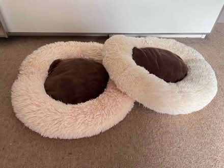 Photo of free Dog or Cat basket and doughnuts (Basingstoke RG22) #1
