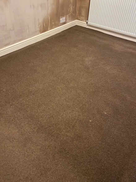 Photo of free Bedroom carpet (Adlington PR7) #4