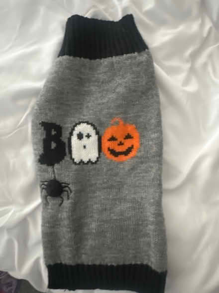 Photo of free Small dog jumpers (G78) #2