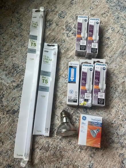 Photo of free New Light bulbs (Cambridgeport) #1