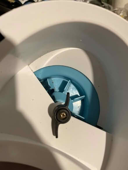 Photo of free Automatic pet feeder (CO13) #4