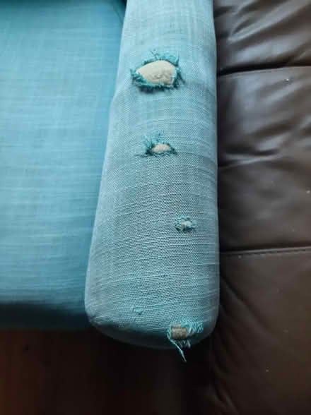 Photo of free Blue fabric chair (Cregagh Road) #3