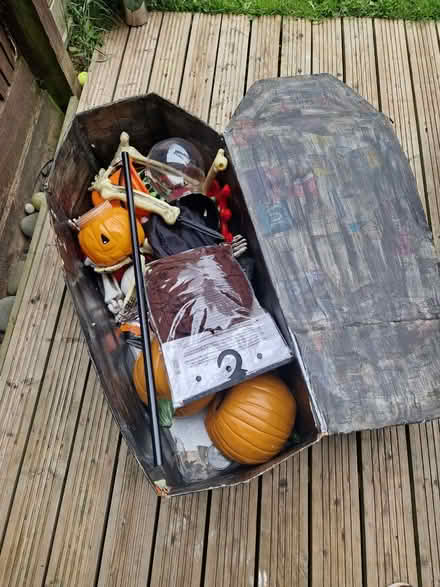 Photo of free Halloween stuff (Middleton MK10) #2