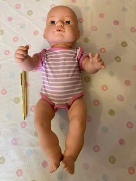 Photo of free Doll (High Wood, Lancaster) #1