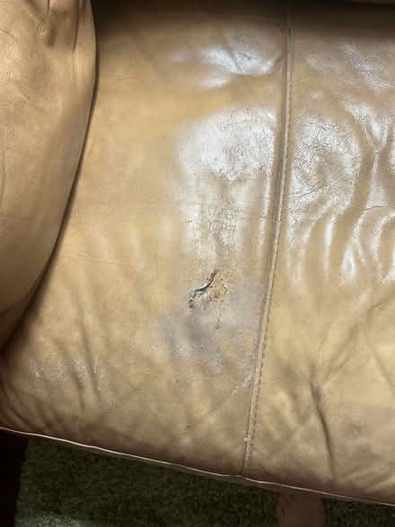 Photo of free Leather couch (Cherrydale area N Arlington) #3
