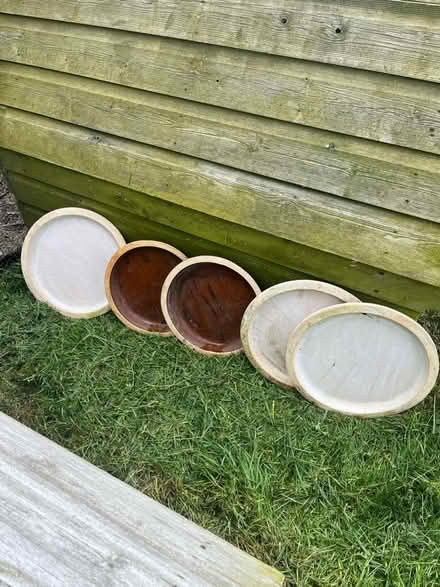 Photo of free 5 Plant pot Saucers 39-35cm (Lewes Nevill area) #1