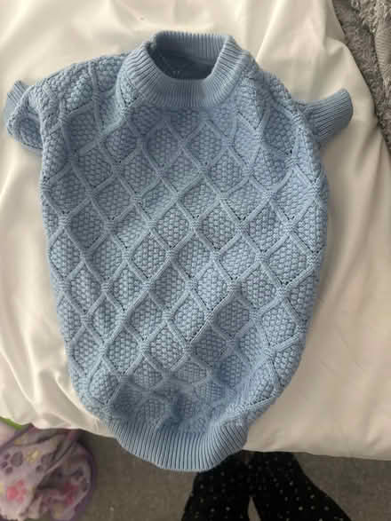 Photo of free Small dog jumpers (G78) #1