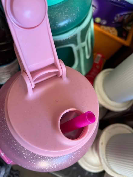 Photo of free Pink water bottle (BN15 lancing) #2